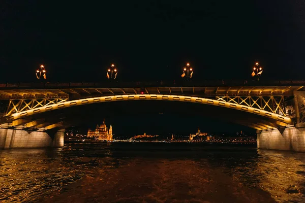 Pont lumineux avec lanterne de rue sur le Danube. Un papa. — Photo
