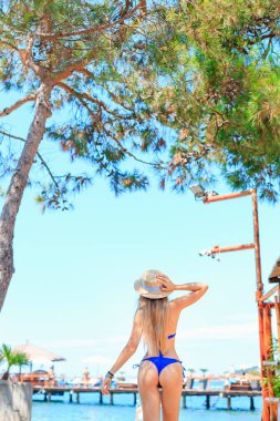 Deniz kenarında yürüyüş mavi mayolu kız. Arkadan Görünüm. Deniz