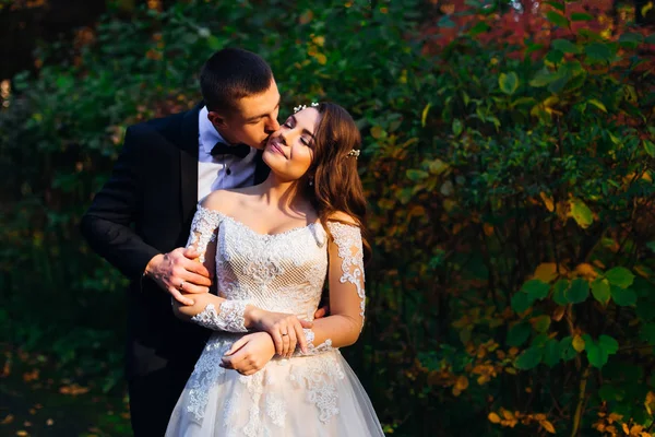 Newlyweds no abraço do amor e um beijo na bochecha no parque. h — Fotografia de Stock