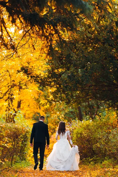 Sposi che camminano nel parco autunnale. retrovisore — Foto Stock