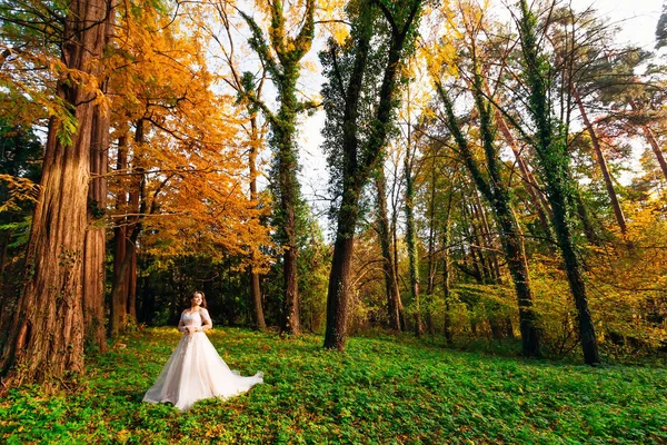 Noiva no vestido de noiva fica no parque de outono. — Fotografia de Stock