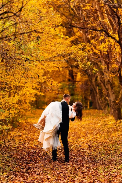 A vőlegény gyönyörű ruhában tartja a menyasszonyt a karjaiban. Úgy néznek ki — Stock Fotó