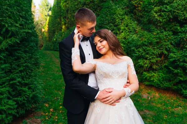 Le marié embrasse la mariée de l'arrière. mariée avec raison — Photo