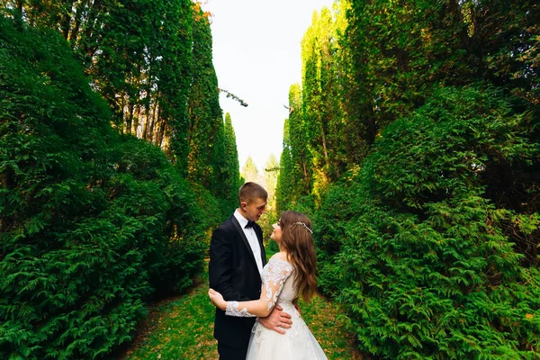 Frischvermählte in einem grünen Park umarmen. Bräutigam in Anzug und Fliege. — Stockfoto