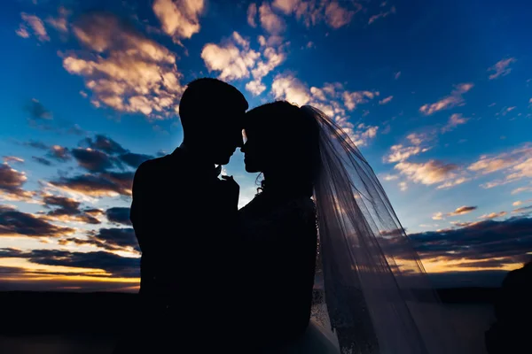 Silueta recién casados en el fondo del hermoso cielo después de su — Foto de Stock