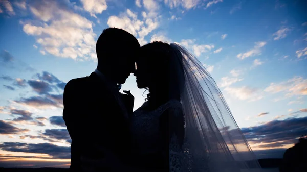 Recém-casados silhueta no fundo do belo céu após su — Fotografia de Stock