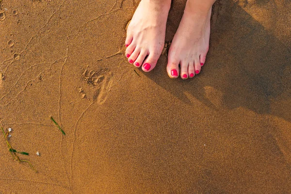Visão de seção baixa de uma jovem mulher pernas em pé na areia no b — Fotografia de Stock