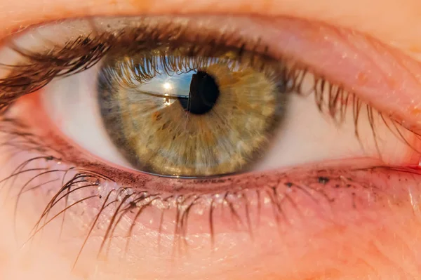 Крупный план женского глаза, смотрящего в камеру. кожа с веснушками — стоковое фото