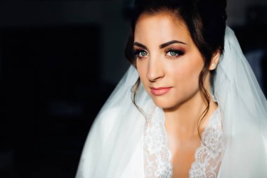 gelinin yüzünde güzel makyaj. gelin gülümsüyor. Clo