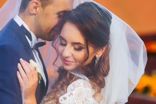Zachte en romantische momenten van jonggehuwden bedekt met een bruiloft ve — Stockfoto