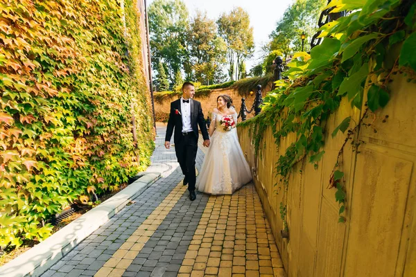 Friss házasok az épület közelében és borostyánnal borított fal. A menyasszony. — Stock Fotó