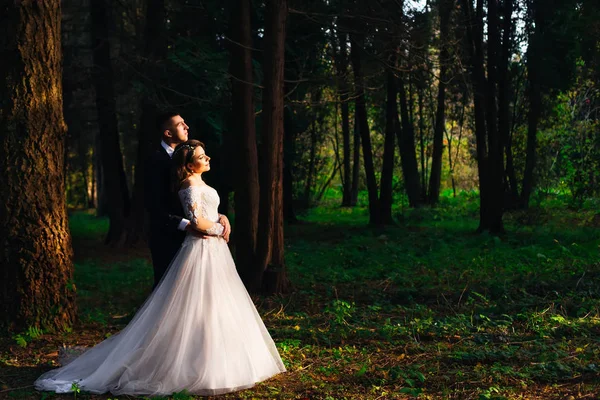 Brudgummen omfamnar bruden från baksidan stående i — Stockfoto