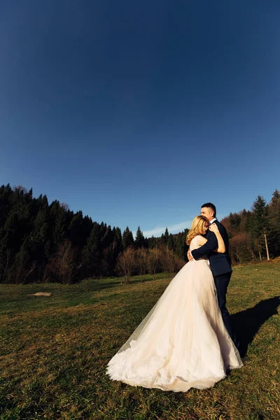 Frischvermählte umarmen sich auf einer Wiese am Waldrand. cl — Stockfoto