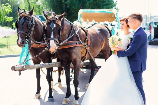 wedding couple stand near brown horses with carriage