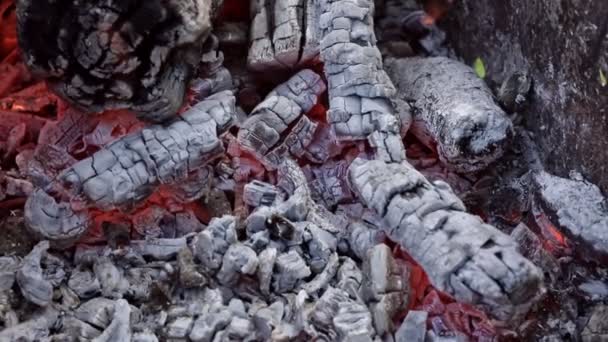 Großaufnahme Brennender Kohlen Auf Dem Grill Kohle Beginnt Brennen Heiße — Stockvideo