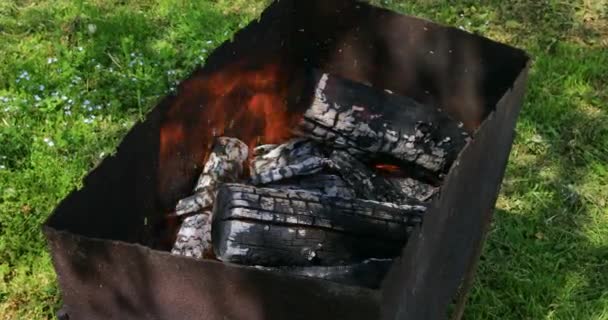 Carbones Quemados Parrilla Barbacoa Carbón Caliente Llama — Vídeo de stock