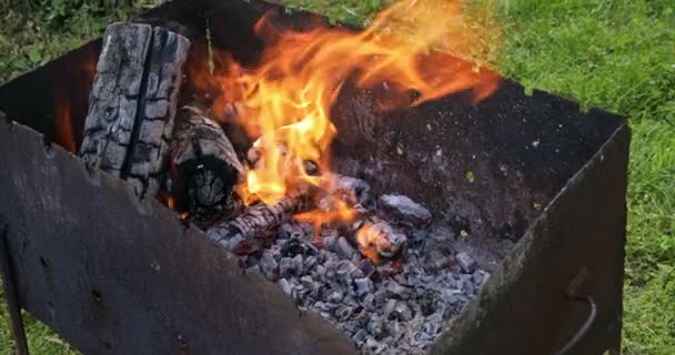 Llama Fuego Sobre Naturaleza Primer Plano Brasas Quemadas Parrilla Barbacoa — Vídeo de stock