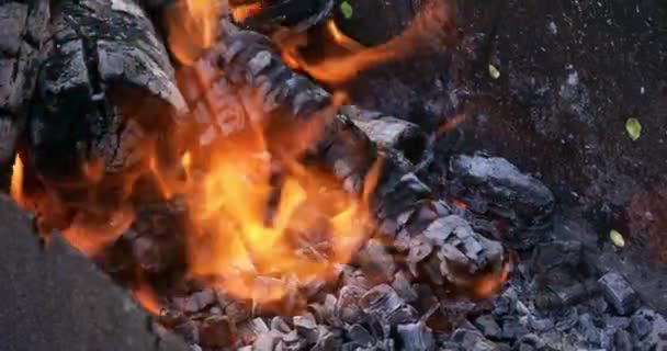 Carbón Ardiendo Cerca Fuego Ardiente Restos Negros Leña — Vídeos de Stock
