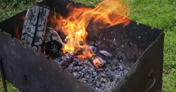 Flamme Des Feuers Auf Die Natur Großaufnahme Von Brennenden Kohlen — Stockvideo