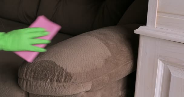 Mão Sofá Limpeza Luva Protetora Com Microfibra — Vídeo de Stock