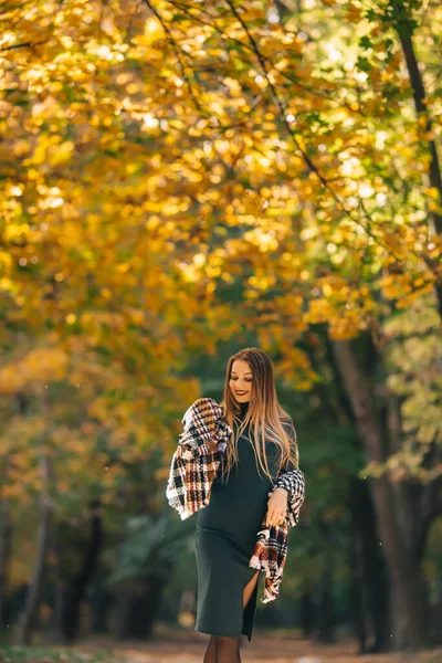 Young Pretty Woman Autumn Park Background — Stock Photo, Image
