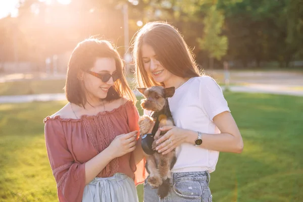 Két Boldog Lány Sétál Friss Levegőn Egy Néz Szeretett Kutya — Stock Fotó