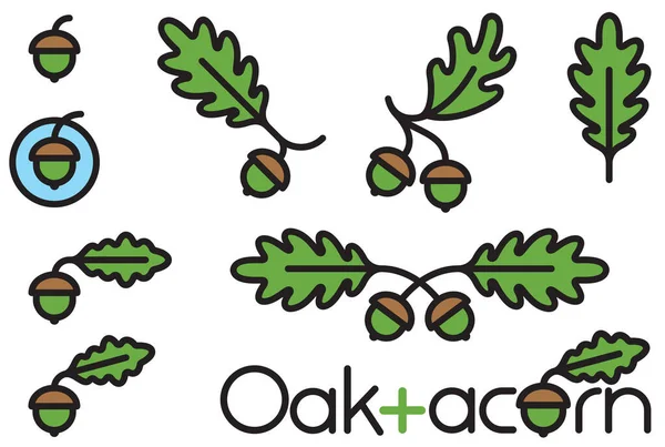 Oak Acornset Acorn Oak Leaf Design Elements Decorative Vector Nature — Stock Vector