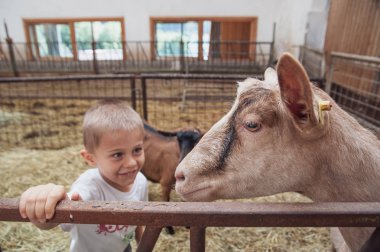 bir çocuk ile hafif bir keçi çalış