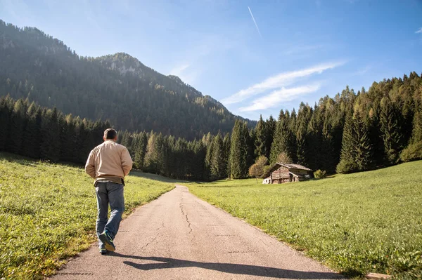 Hombre Solo Camina Camino Bosque Montaña Sobre Los Telones Fondo Imagen De Stock