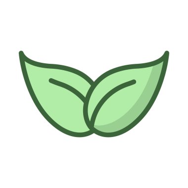 beyaz arkaplanda yeşil yapraklar izole