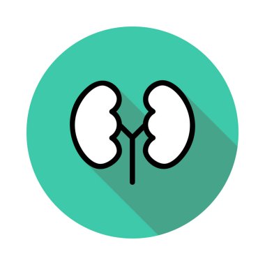 Beyaz arka plan, vektör, illüstrasyon izole insan böbrekler düz simgesi