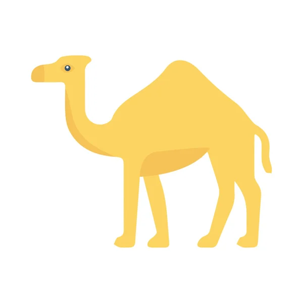 Ícone Web Camelo Ilustração Vetorial —  Vetores de Stock