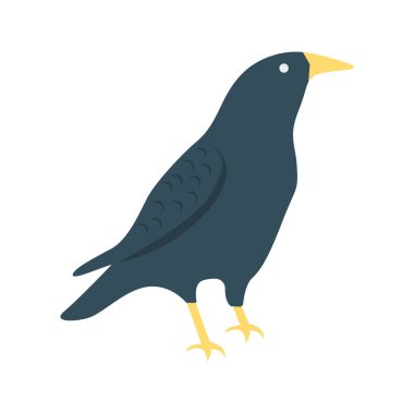 Karga Kuş düz simgesi, vektör, illüstrasyon, Cadılar Bayramı kavramı 