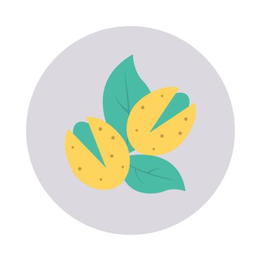 ceviz Kuru meyve yaprak 