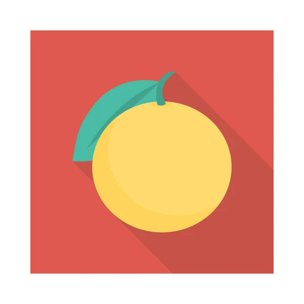 Πορτοκαλί Φρούτα Επίπεδη Εικονίδιο Διάνυσμα Εικονογράφηση — Διανυσματικό Αρχείο