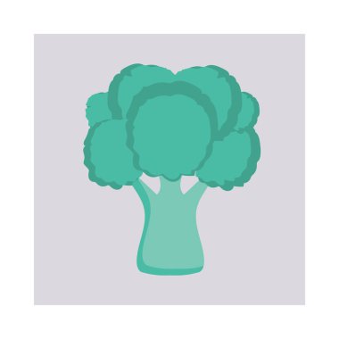 brokoli sebze bitki vektör çizim 