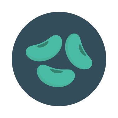 kaşu fındık Kuru meyve  