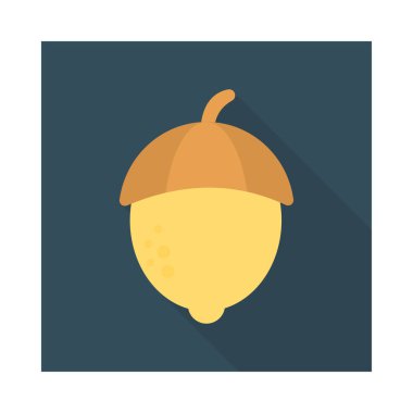 fındık Kuru meyve gıda vektör çizim 