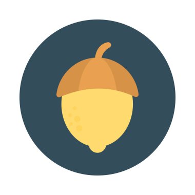 fındık Kuru meyve gıda vektör çizim 