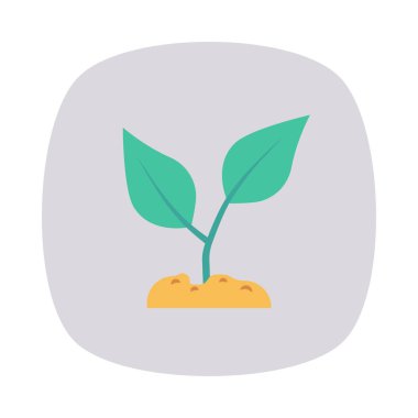 bitki toprak doğa vektör çizim 