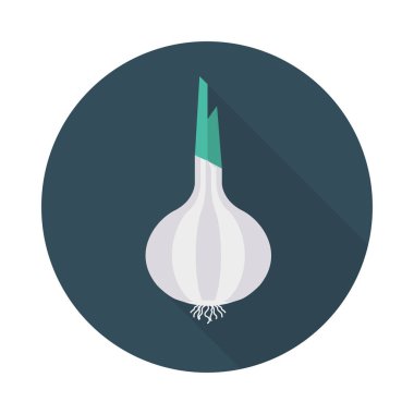 soğan sebze gıda vektör çizim 