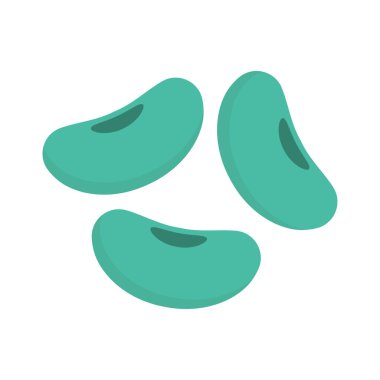 kaşu fındık Kuru meyve illüstrasyon vektör 