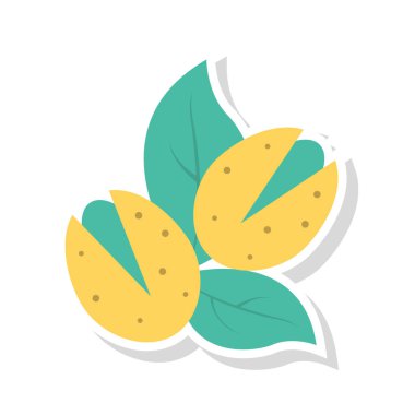 ceviz Kuru meyve vektör çizim yaprak 