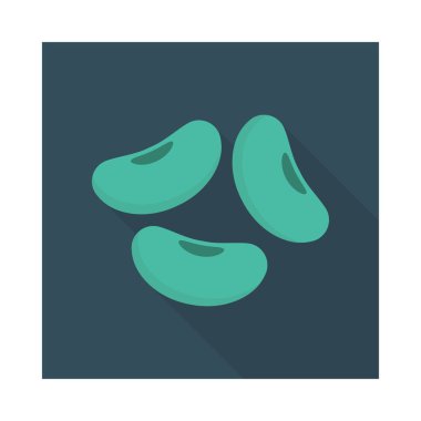 kaşu fındık Kuru meyve illüstrasyon vektör 