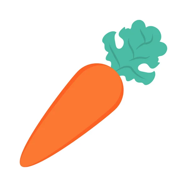 Морква Овочева Їжа Векторні Ілюстрації — стоковий вектор