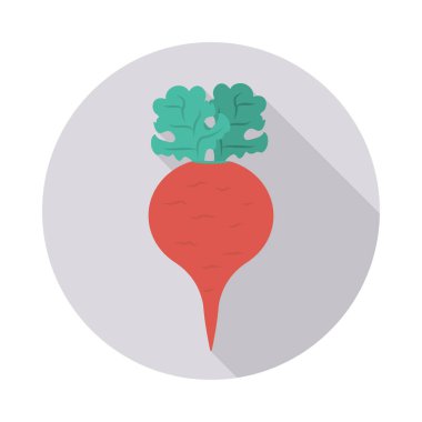 Şalgam sebze gıda vektör çizim 