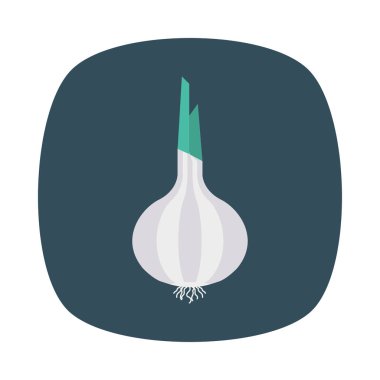 soğan sebze gıda vektör çizim 