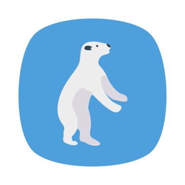 düz simgesi, vektör, illüstrasyon ayı