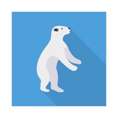 düz simgesi, vektör, illüstrasyon ayı