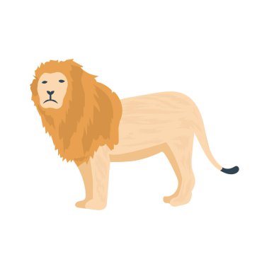 aslan sirk hayvan vektör çizim 